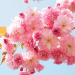 Thumbnail of related posts 195
